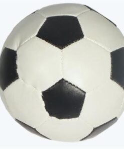 RSSB025