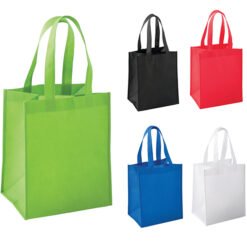 SRSBAG005