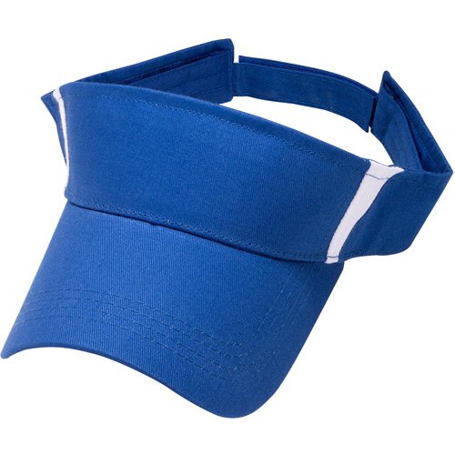 Visor